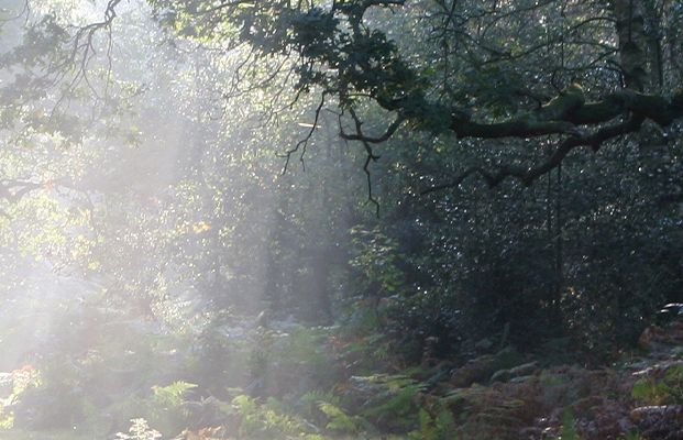 Living in Light of Christ Return