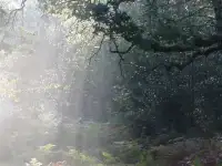 Living in Light of Christ Return